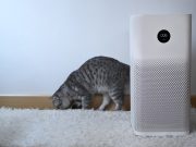 Idzie zima, witaj smog – jak powinniśmy chronić nasze zdrowie?